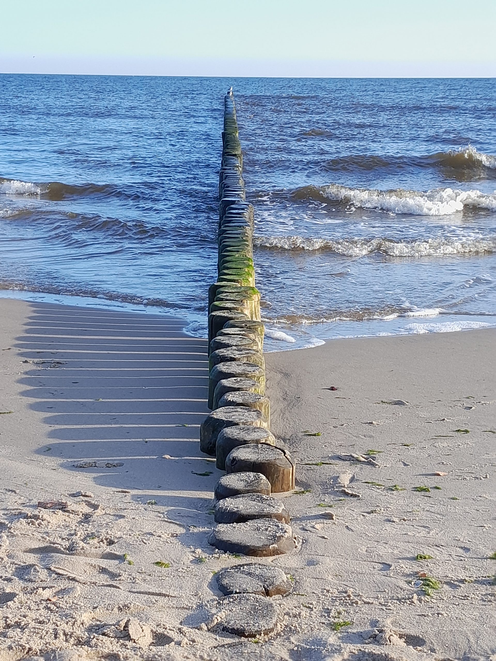 Mein erster Blogeintrag